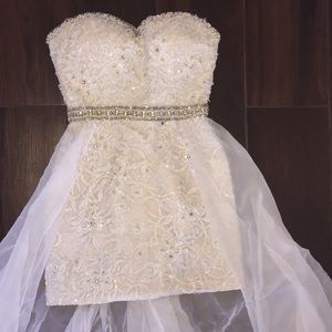 Terani couture evening dress